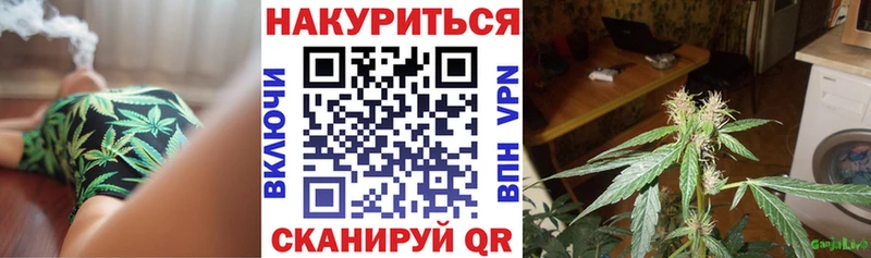 Названия наркотиков Алексин APVP  МЕФ  ГАШИШ  Псилоцибиновые грибы  Cocaine 