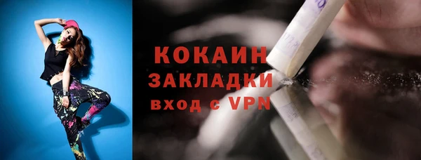 твердый Алексеевка