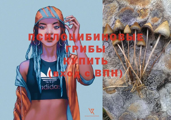 твердый Алзамай