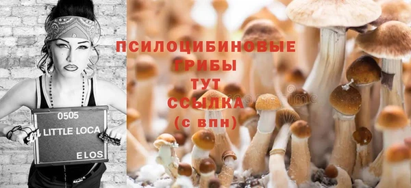 spice Алексин