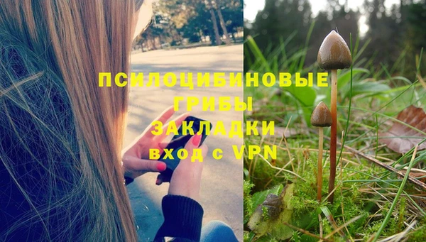 твердый Алзамай